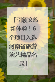 引领文旅新体验！6个项目入选河南省旅游演艺精品名录