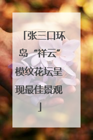 张三口环岛“祥云”模纹花坛呈现最佳景观