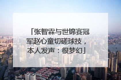 张智霖与世锦赛冠军赵心童切磋球技，本人发声：很梦幻