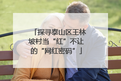 探寻泰山区王林坡村当“红”不让的“网红密码”