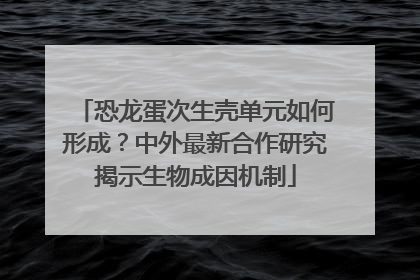 恐龙蛋次生壳单元如何形成？中外最新合作研究揭示生物成因机制