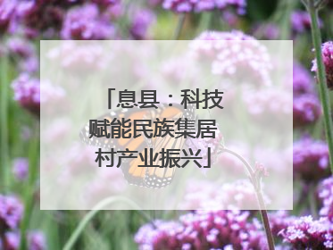 息县：科技赋能民族集居村产业振兴