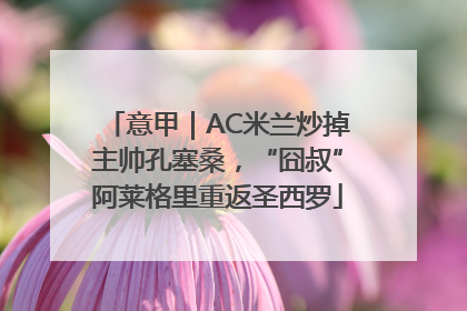 意甲｜AC米兰炒掉主帅孔塞桑，“囧叔”阿莱格里重返圣西罗