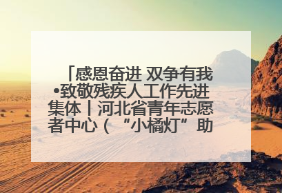 感恩奋进 双争有我•致敬残疾人工作先进集体丨河北省青年志愿者中心（“小橘灯”助残接力计划实施团队）：用温暖陪伴，守护特殊孩子成长