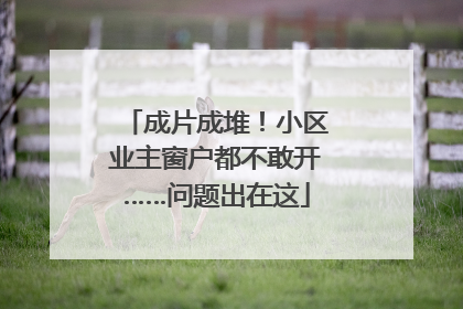 成片成堆！小区业主窗户都不敢开……问题出在这
