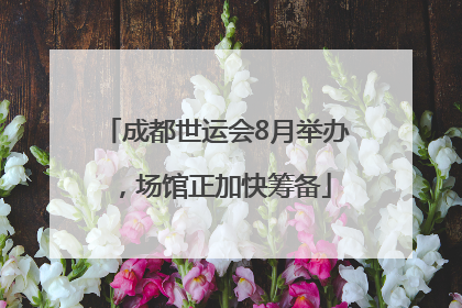 成都世运会8月举办，场馆正加快筹备