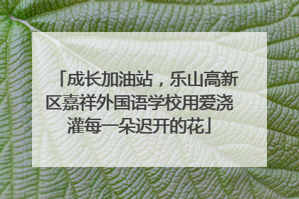 成长加油站，乐山高新区嘉祥外国语学校用爱浇灌每一朵迟开的花