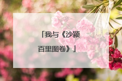 我与《沙颍百里图卷》