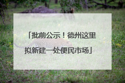 批前公示！德州这里拟新建一处便民市场