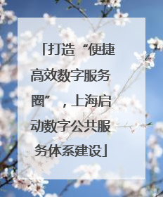 打造“便捷高效数字服务圈”，上海启动数字公共服务体系建设