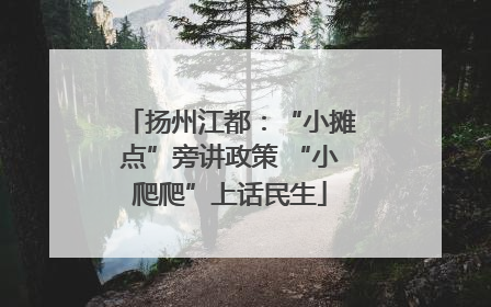 扬州江都：“小摊点”旁讲政策 “小爬爬”上话民生