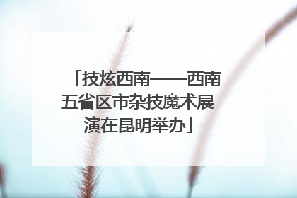 技炫西南——西南五省区市杂技魔术展演在昆明举办