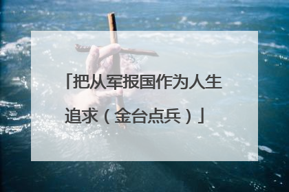 把从军报国作为人生追求（金台点兵）