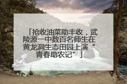 抢收油菜助丰收，武陵源一中数百名师生在黄龙洞生态田园上演“青春助农记”