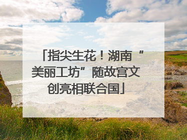 指尖生花！湖南“美丽工坊”随故宫文创亮相联合国