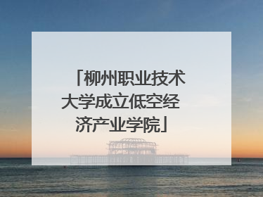 柳州职业技术大学成立低空经济产业学院