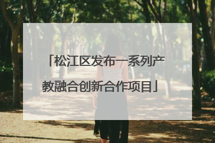 松江区发布一系列产教融合创新合作项目