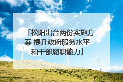 松阳出台两份实施方案 提升政府服务水平和干部履职能力