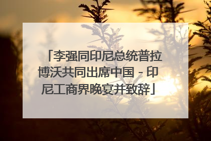 李强同印尼总统普拉博沃共同出席中国－印尼工商界晚宴并致辞