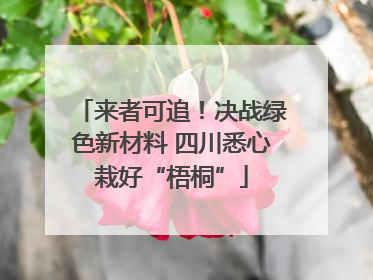 来者可追！决战绿色新材料 四川悉心栽好“梧桐”