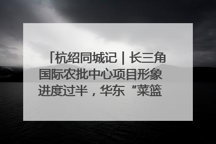 杭绍同城记｜长三角国际农批中心项目形象进度过半，华东“菜篮子”建设加码提速！