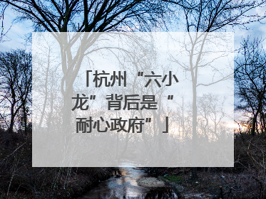 杭州“六小龙”背后是“耐心政府”