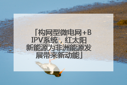 构网型微电网+BIPV系统，红太阳新能源为非洲能源发展带来新动能