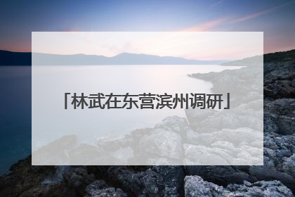 林武在东营滨州调研