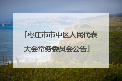 枣庄市市中区人民代表大会常务委员会公告