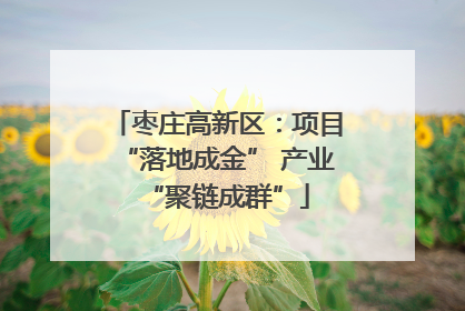 枣庄高新区：项目“落地成金” 产业“聚链成群”