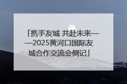 携手友城 共赴未来——2025黄河口国际友城合作交流会侧记