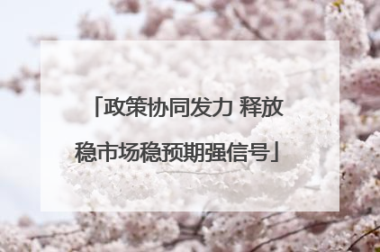 政策协同发力 释放稳市场稳预期强信号
