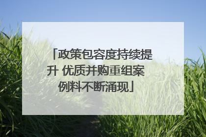 政策包容度持续提升 优质并购重组案例料不断涌现