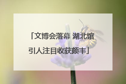 文博会落幕 湖北馆引人注目收获颇丰