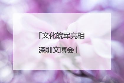 文化皖军亮相深圳文博会