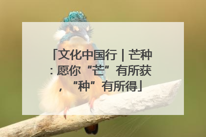 文化中国行｜芒种：愿你“芒”有所获，“种”有所得