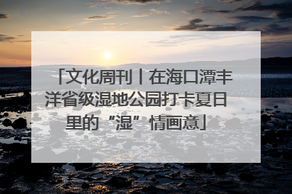 文化周刊丨在海口潭丰洋省级湿地公园打卡夏日里的“湿”情画意