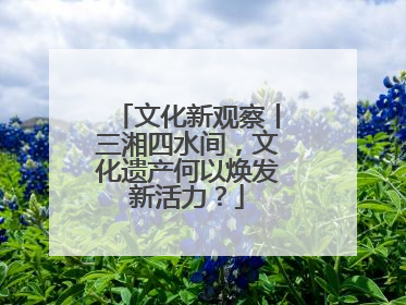 文化新观察丨三湘四水间，文化遗产何以焕发新活力？