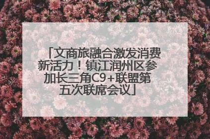 文商旅融合激发消费新活力！镇江润州区参加长三角C9+联盟第五次联席会议