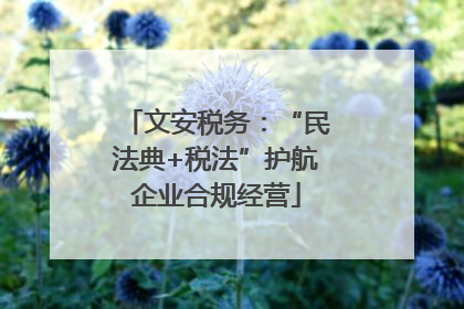 文安税务：“民法典+税法”护航企业合规经营