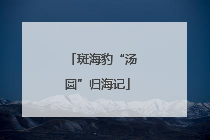 斑海豹“汤圆”归海记