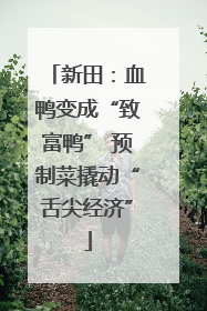 新田：血鸭变成“致富鸭” 预制菜撬动“舌尖经济”