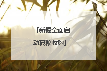 新疆全面启动夏粮收购
