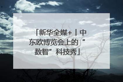 新华全媒+丨中东欧博览会上的“数智”科技秀