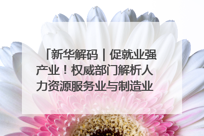 新华解码｜促就业强产业！权威部门解析人力资源服务业与制造业融合发展试点