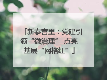 新泰宫里：党建引领“微治理” 点亮基层“网格红”