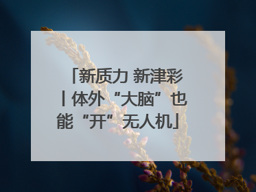 新质力 新津彩丨体外“大脑”也能“开”无人机