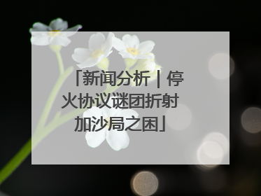 新闻分析｜停火协议谜团折射加沙局之困