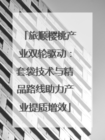 旅顺樱桃产业双轮驱动：套袋技术与精品路线助力产业提质增效