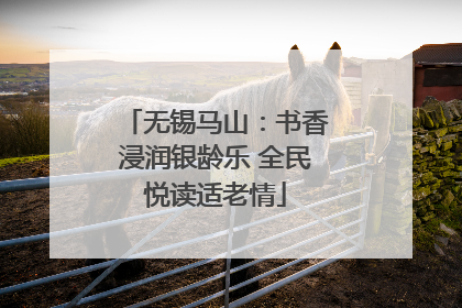 无锡马山：书香浸润银龄乐 全民悦读适老情